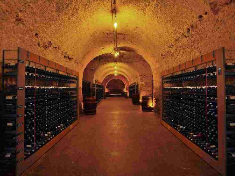 Cave vin traditionnelle Vinothèque de l'atelier du vin